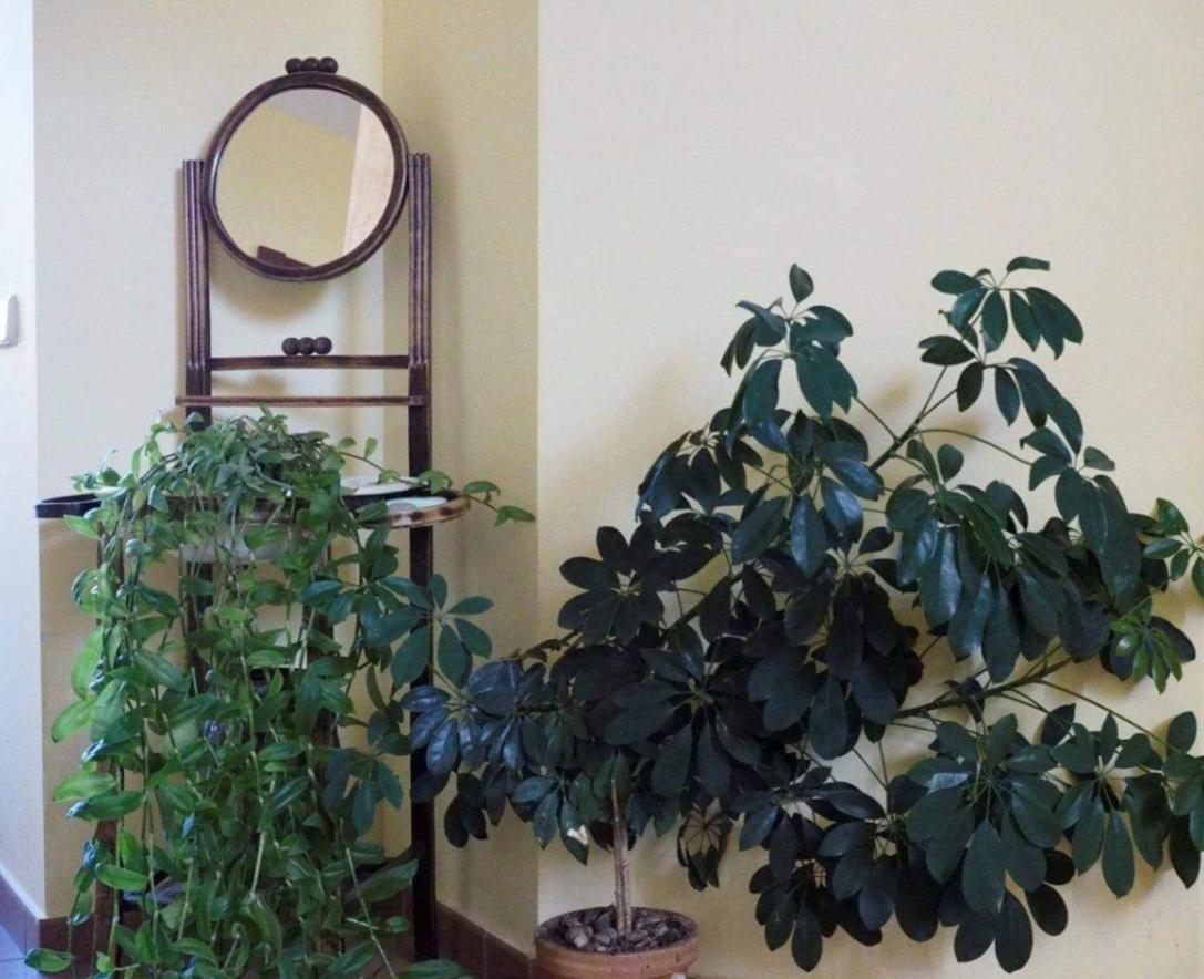 Hotel Casa Rural Betania Villacalabuey Zewnętrze zdjęcie